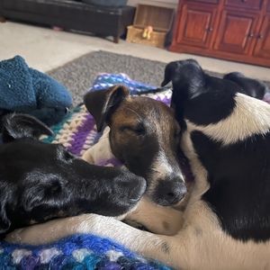 Meet your Posher, Tash